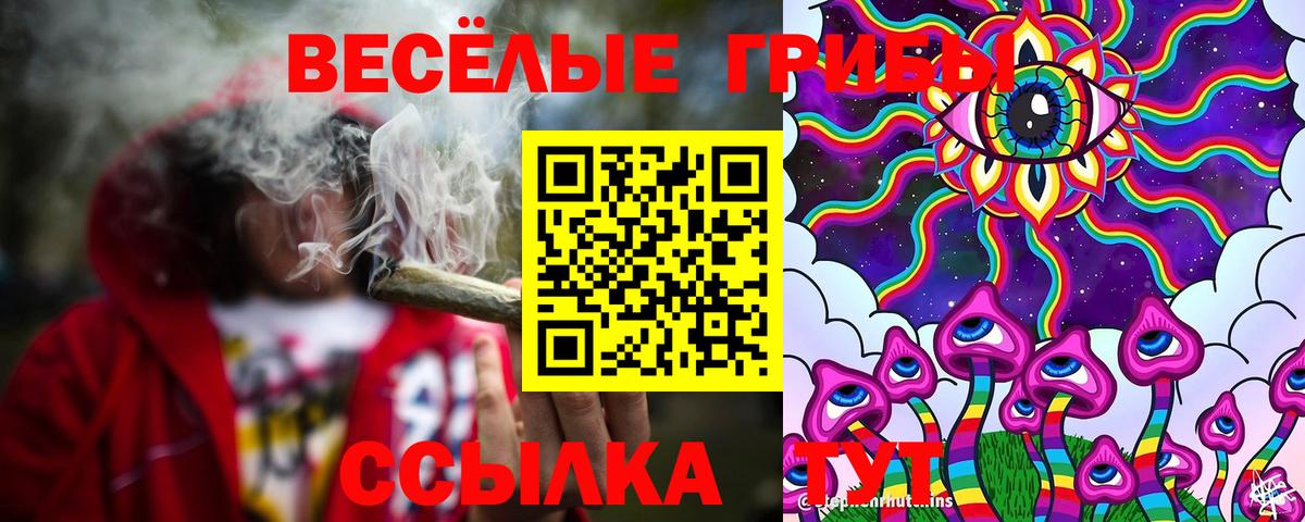 Галлюциногенные грибы ЛСД Людиново