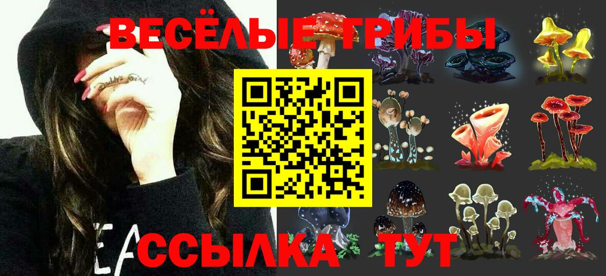 Галлюциногенные грибы Magic Shrooms  Вход с VPN  Людиново 